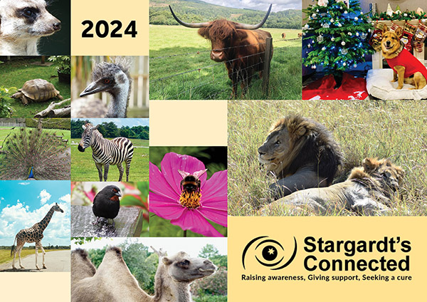 Stargardt's Calendar 2024 cover 600
