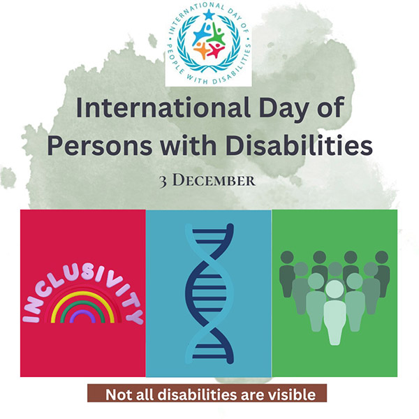 Pink and White Illustration International Day of Persons With Disabilities Instagram Post
